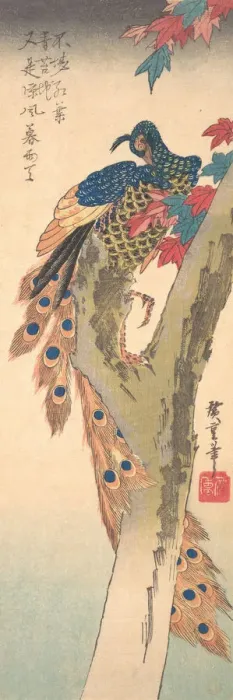 Framed Print : A Peacock Perched on a Maple Tree, ca. 1833. ca. 1833. Creator: Ando Hiroshige Framed Print : A Peacock Perched on a Maple Tree, ca. 1833. ca. 1833. Creator: Ando Hiroshige