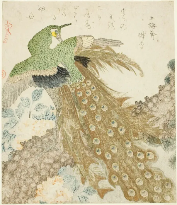 Framed Print : Peacock, Pine Tree, and Peonies, from the series A Set of Three Petals Framed Print : Peacock, Pine Tree, and Peonies, from the series A Set of Three Petals