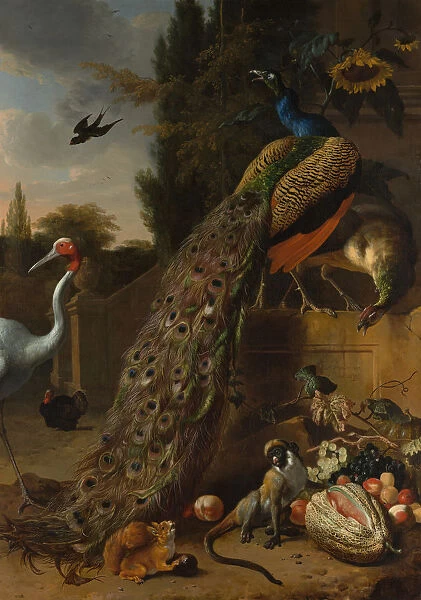 Peacocks, 1683. Creator: Melchior d Hondecoeter