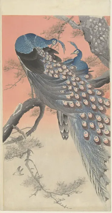 Framed Print : Two Peacocks on a Tree Branch, 1900-1910. Creator: Ohara, Koson (1877-1945) Framed Print : Two Peacocks on a Tree Branch, 1900-1910. Creator: Ohara, Koson (1877-1945)