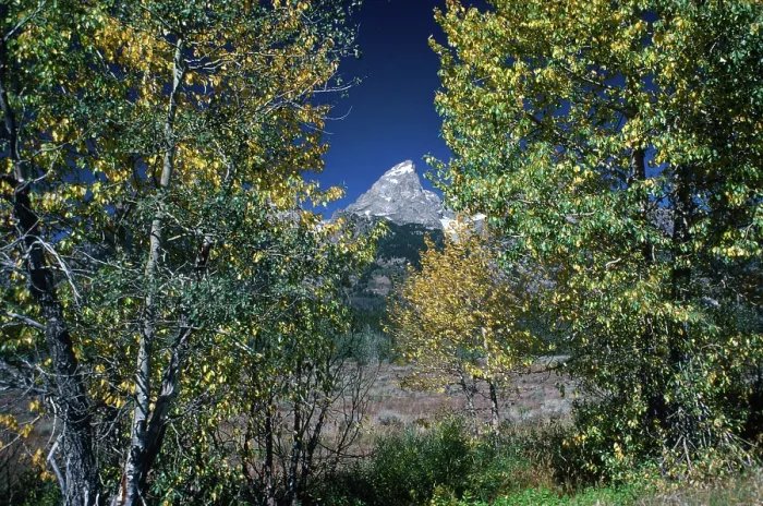 Framed Print : The Peak. Creator: Robert Manno Framed Print : The Peak. Creator: Robert Manno