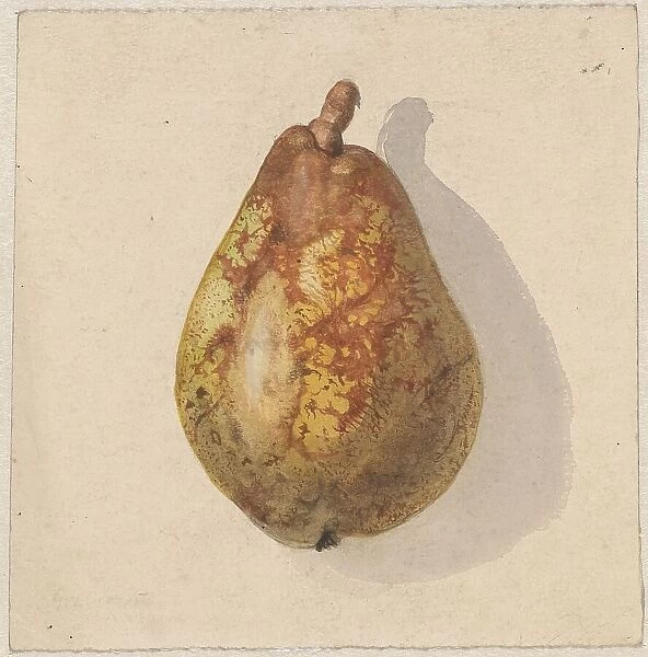 Pear, 1836-1895. Creator: Gerardina Jacoba van de Sande Bakhuyzen