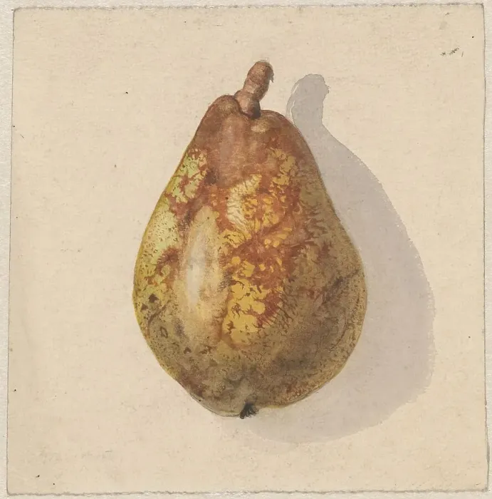 Framed Print : Pear, 1836-1895. Creator: Gerardina Jacoba van de Sande Bakhuyzen Framed Print : Pear, 1836-1895. Creator: Gerardina Jacoba van de Sande Bakhuyzen