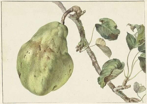 Pear on a branch, 1781. Creator: Pieter Gevers