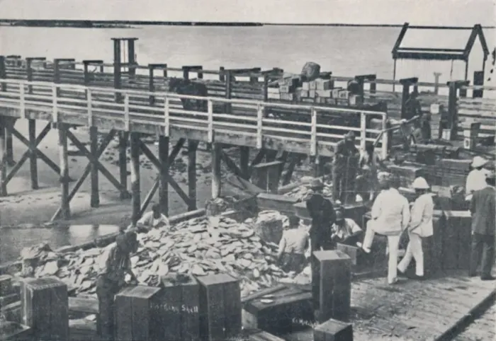Framed Print : The Pearl Fishing Industry - Packing Shell, 1923. Creator: Unknown Framed Print : The Pearl Fishing Industry - Packing Shell, 1923. Creator: Unknown