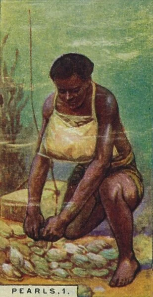 Pearls 1. Native Diver at Work, Ceylon, 1928