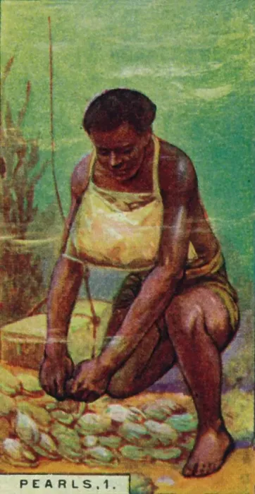 Framed Print : Pearls 1. Native Diver at Work, Ceylon, 1928 Framed Print : Pearls 1. Native Diver at Work, Ceylon, 1928