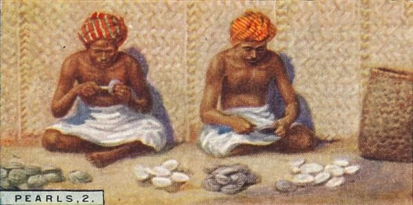Pearls, 2. - Openng the Oysters, Ceylon, 1928