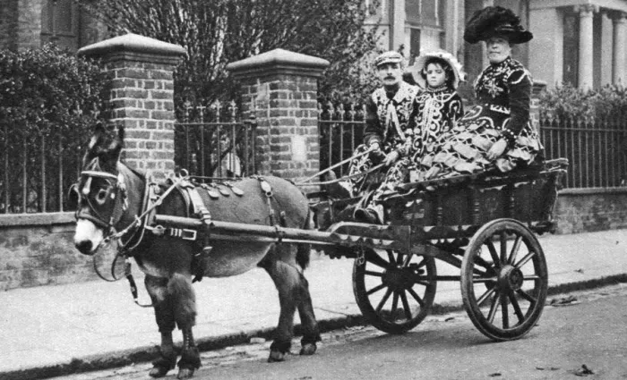 Framed Print : Pearly family in their donkey-drawn moke, London, 1926-1927. Artist: McLeish Framed Print : Pearly family in their donkey-drawn moke, London, 1926-1927. Artist: McLeish
