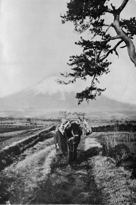 Framed Print : Peasants of the region of Fuji not by name but merely as O Yama, the Honourable Mountain, c1900, Artist: Julian Leonard Street Framed Print : Peasants of the region of Fuji not by name but merely as O Yama, the Honourable Mountain, c1900, Artist: Julian Leonard Street