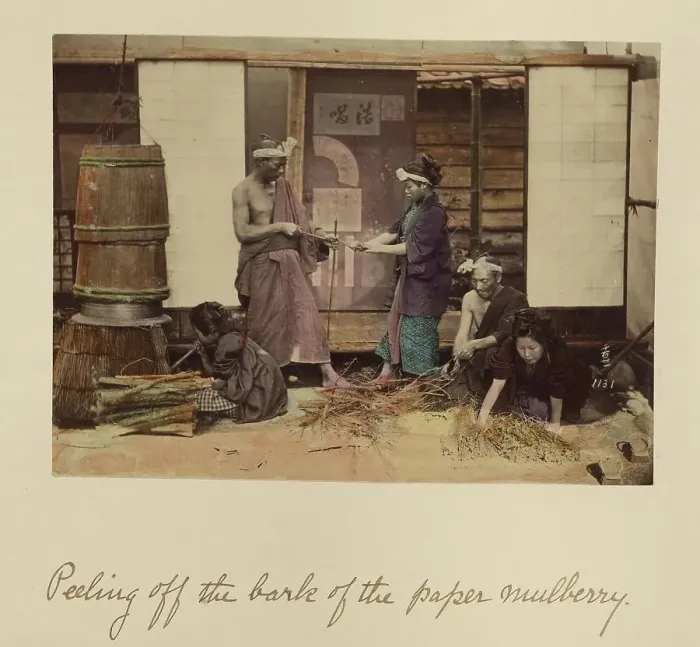 Framed Print : Peeling off the bark... about 1873-1883. Creator: Shinichi Suzuki I Framed Print : Peeling off the bark... about 1873-1883. Creator: Shinichi Suzuki I