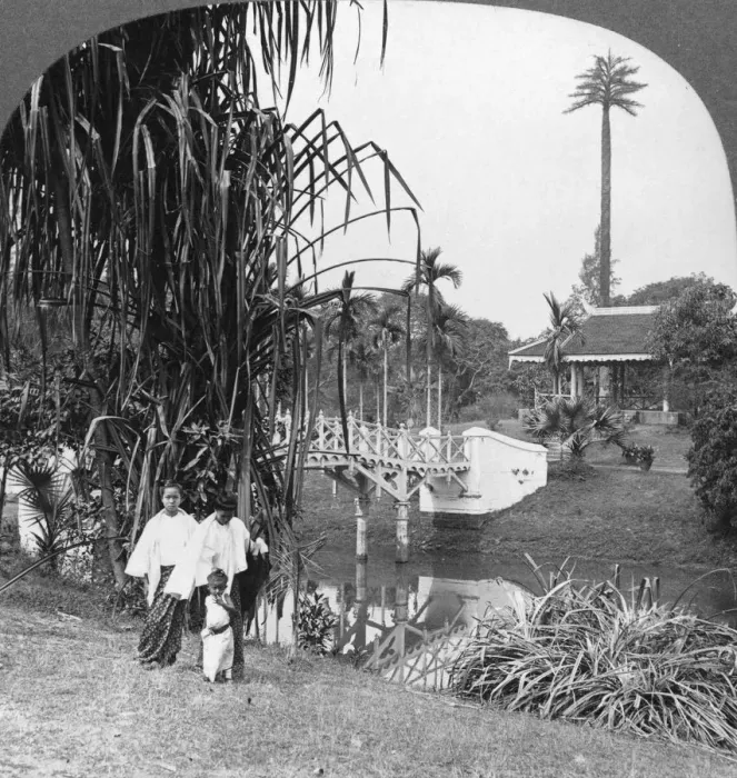 Framed Print : A peep into the tropical gardens of Rangoon, Burma, 1908. Artist: Stereo Travel Co Framed Print : A peep into the tropical gardens of Rangoon, Burma, 1908. Artist: Stereo Travel Co