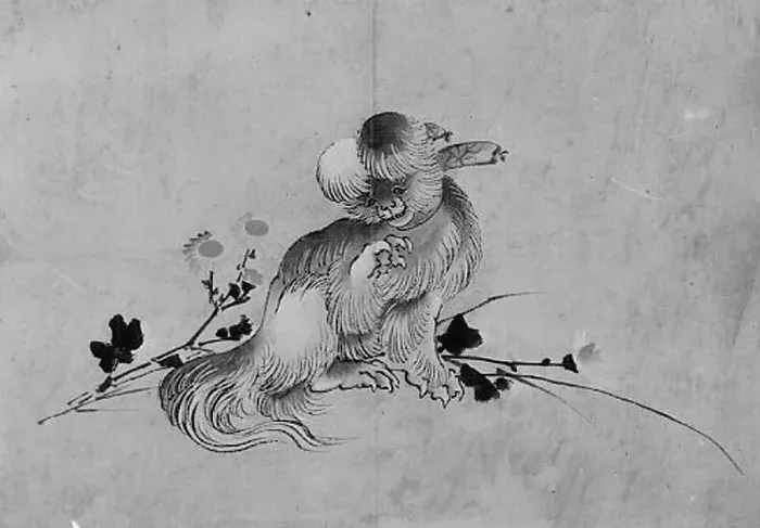 Framed Print : Pekingese, 19th century. Creator: Hokusai School Framed Print : Pekingese, 19th century. Creator: Hokusai School