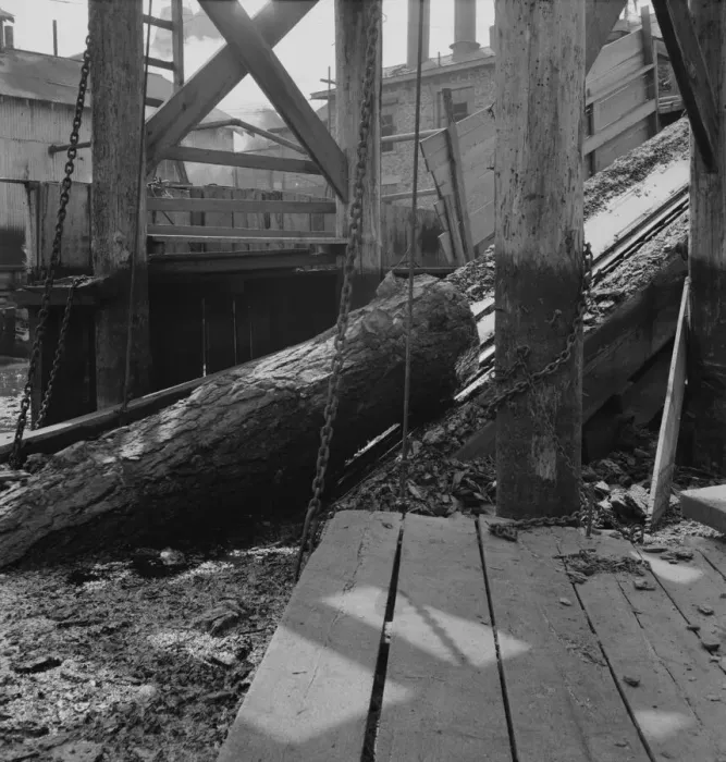 Framed Print : At Pelican Bay Lumber mill logs enter... near Klamath Falls, Klamath County, Oregon, 1939 Creator: Dorothea Lange Framed Print : At Pelican Bay Lumber mill logs enter... near Klamath Falls, Klamath County, Oregon, 1939 Creator: Dorothea Lange