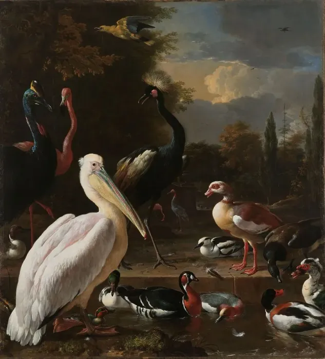 Framed Print : A Pelican and other Birds near a Pool, Known as ‘The Floating Feather, c.1680. Creator: Melchior d'Hondecoeter Framed Print : A Pelican and other Birds near a Pool, Known as ‘The Floating Feather, c.1680. Creator: Melchior d'Hondecoeter