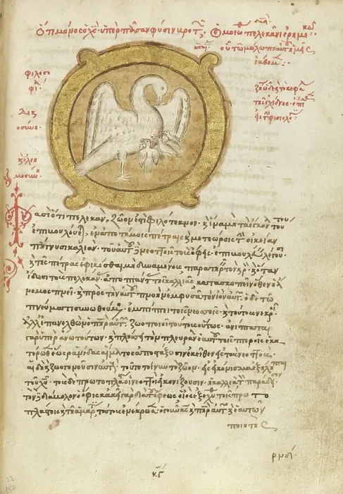 Framed Print : A Pelican Feeding her Young; Miscellany: Physiologus: other texts, 1510-1520. Creator: Unknown Framed Print : A Pelican Feeding her Young; Miscellany: Physiologus: other texts, 1510-1520. Creator: Unknown