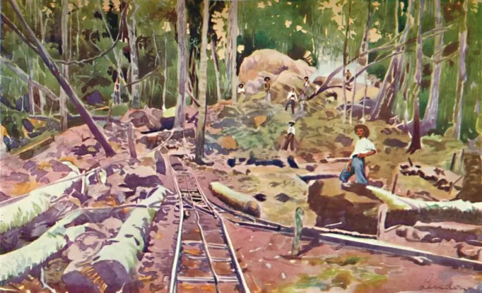 Framed Print : Penetrating the Amazonian Forest - Madeira-Mamore Railway, 1914 Framed Print : Penetrating the Amazonian Forest - Madeira-Mamore Railway, 1914