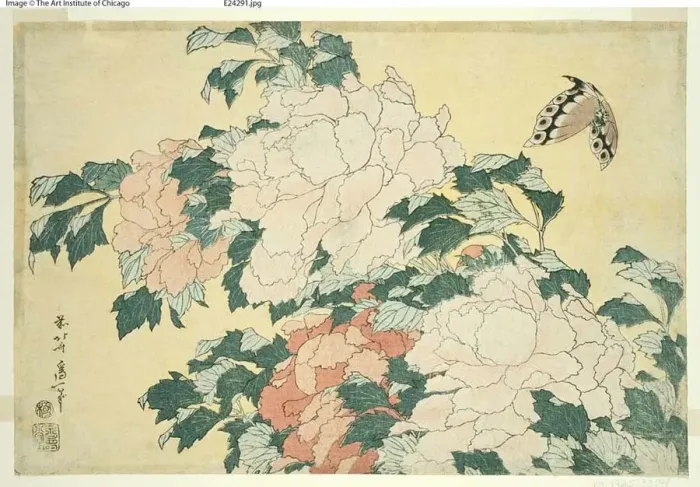 Framed Print : Peonies and Butterfly, from an untitled series of large flowers, Japan, c. 1833  /  34