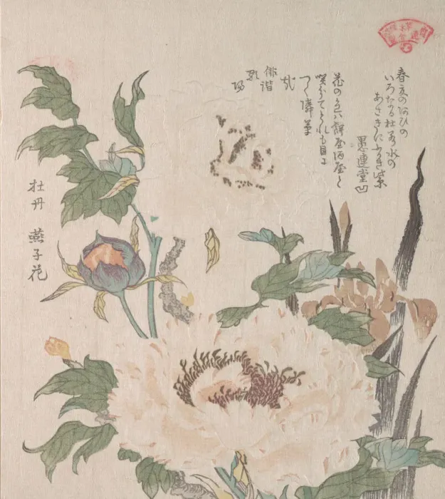 Framed Print : Peonies and Iris, 19th century. Creator: Kubo Shunman Framed Print : Peonies and Iris, 19th century. Creator: Kubo Shunman