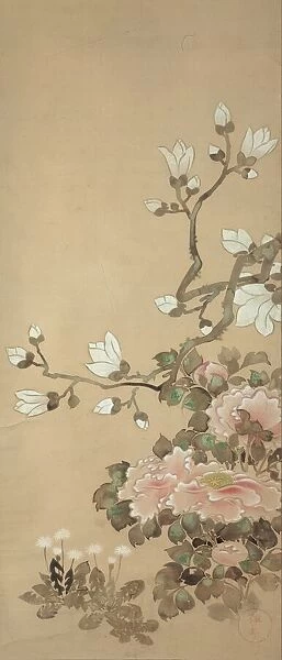 Peonies, Magnolia, and Dandelions, 18th century. Creator: School of Tawaraya Sotatsu