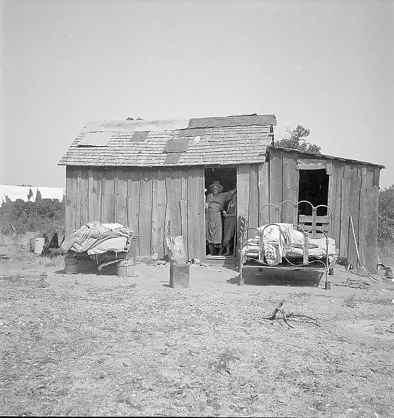 People living in miserable poverty, Elm Grove, Oklahoma County, Oklahoma, 1936. Creator: Dorothea Lange