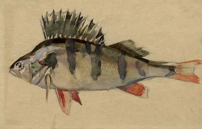 Framed Print : Perch, 1920. Creator: A. G. Vargin Framed Print : Perch, 1920. Creator: A. G. Vargin