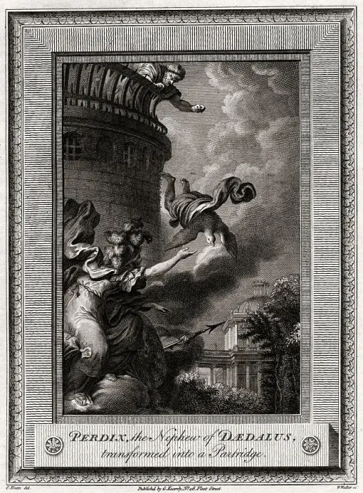 Framed Print : Perdix, the Nephew of Daedalus, transformed into a Partridge, 1774. Artist: W Walker Framed Print : Perdix, the Nephew of Daedalus, transformed into a Partridge, 1774. Artist: W Walker