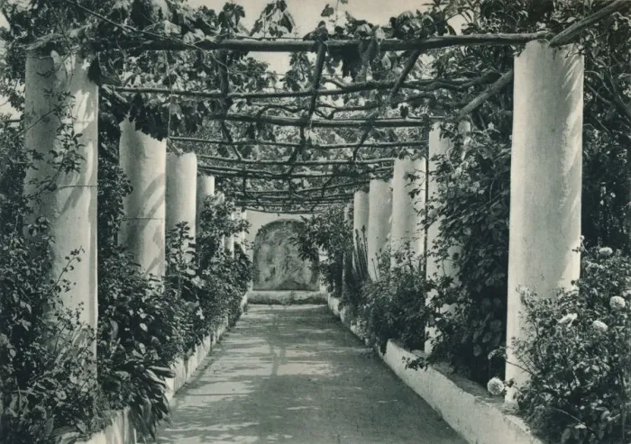 Framed Print : Pergola in a vineyard, Capri, Italy, 1927. Artist: Eugen Poppel Framed Print : Pergola in a vineyard, Capri, Italy, 1927. Artist: Eugen Poppel