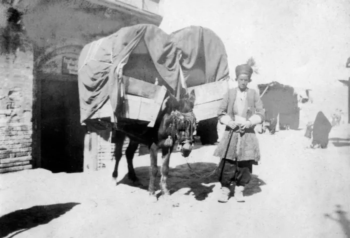 Framed Print : Persian donkey transport, Baghdad, Iraq, 1917-1919 Framed Print : Persian donkey transport, Baghdad, Iraq, 1917-1919