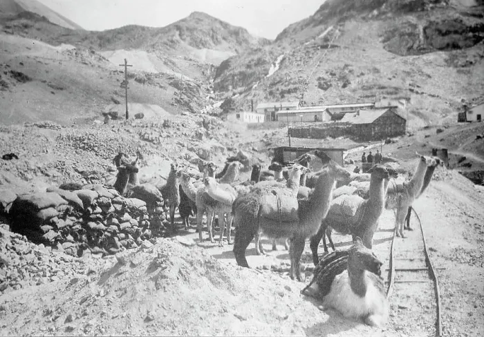 Framed Print : Peru Scenes, 1912. Creator: Harris & Ewing. Peru Scenes, 1912. Creator: Harris & Ewing Framed Print : Peru Scenes, 1912. Creator: Harris & Ewing. Peru Scenes, 1912. Creator: Harris & Ewing