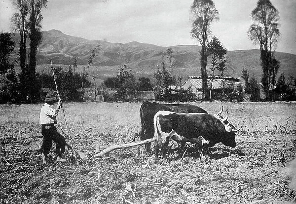 Peru Scenes, 1912. Creator: Harris & Ewing. Peru Scenes, 1912. Creator: Harris & Ewing
