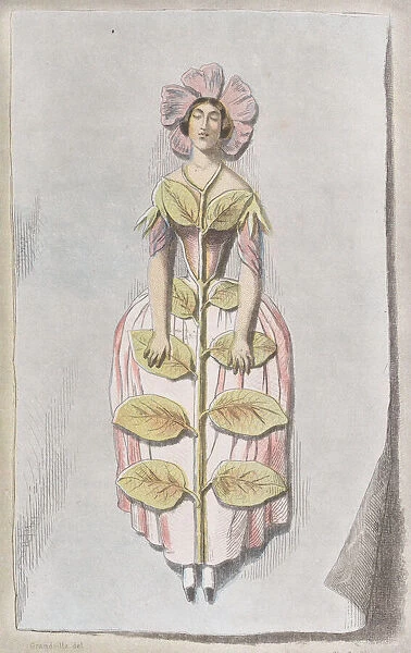 Pervenche Dessechee, from Les Fleurs Animees, 1847. 1847