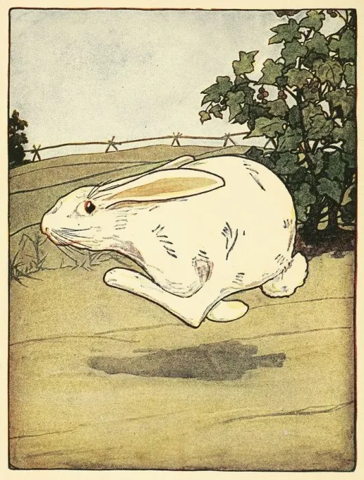 Framed Print : Peter never stopped running, from The Tale of Peter Rabbit, pub. 1916 (colour lithograph), 1916 Framed Print : Peter never stopped running, from The Tale of Peter Rabbit, pub. 1916 (colour lithograph), 1916