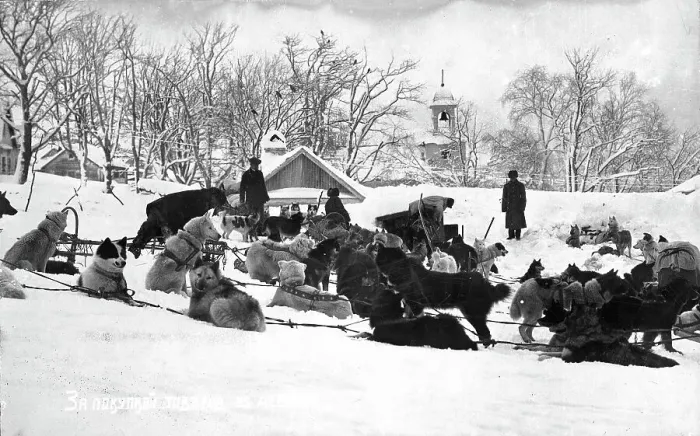 Framed Print : Petropavlovsk-Kamchatsky in winter; dog sleds against the backdrop of the Peter and Paul... 1910-19 Creator: Ivan Emelianovich Larin Framed Print : Petropavlovsk-Kamchatsky in winter; dog sleds against the backdrop of the Peter and Paul... 1910-19 Creator: Ivan Emelianovich Larin