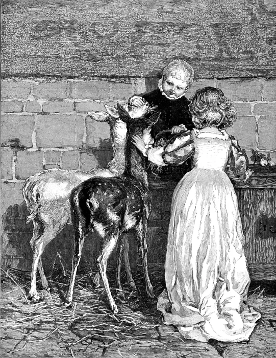 Framed Print : Pets of the House: A Christmas Feast, drawn by Percy Tarrant, 1883. Creator: Unknown Framed Print : Pets of the House: A Christmas Feast, drawn by Percy Tarrant, 1883. Creator: Unknown