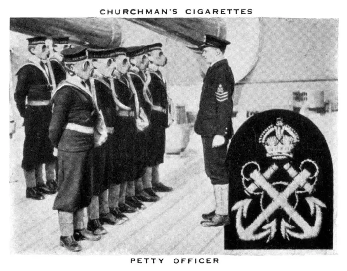 Framed Print : Petty Officer, 1937. Artist: WA & AC Churchman Framed Print : Petty Officer, 1937. Artist: WA & AC Churchman