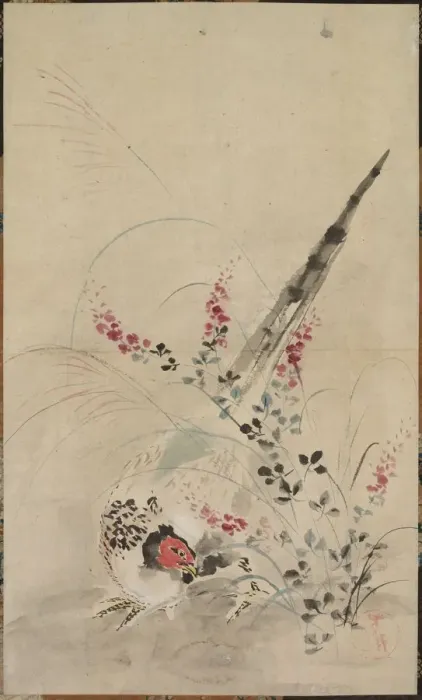 Framed Print : Pheasant and Grasses, late 17th-early 18th century. Creator: Ogata Korin (Japanese Framed Print : Pheasant and Grasses, late 17th-early 18th century. Creator: Ogata Korin (Japanese