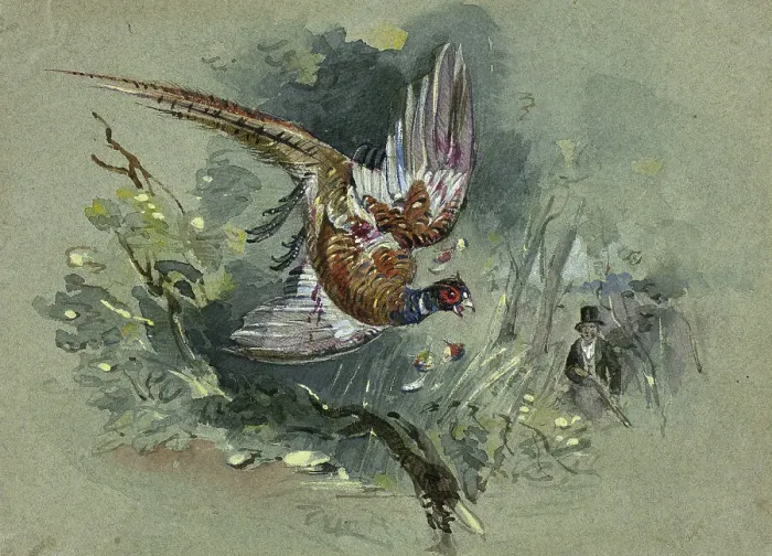 Framed Print : Pheasant and Hunter, 1825-1877. Creator: Charles B Newhouse Framed Print : Pheasant and Hunter, 1825-1877. Creator: Charles B Newhouse