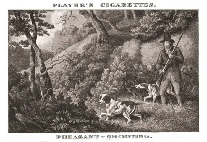 Framed Print : Pheasant-Shooting, (1924). Creator: Unknown Framed Print : Pheasant-Shooting, (1924). Creator: Unknown