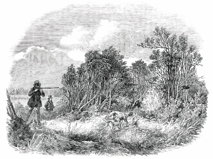 Framed Print : Pheasant-Shooting - drawn by Duncan, 1850. Creator: Unknown Framed Print : Pheasant-Shooting - drawn by Duncan, 1850. Creator: Unknown