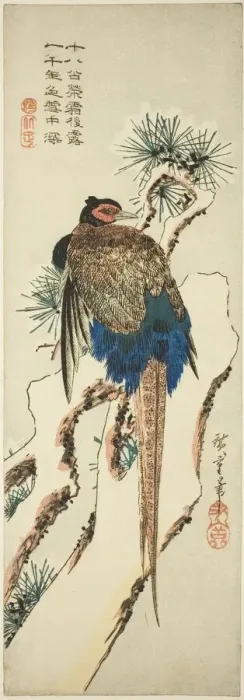 Framed Print : Pheasant on a Snow-Covered Pine Tree, mid-1830s. Creator: Ando Hiroshige Framed Print : Pheasant on a Snow-Covered Pine Tree, mid-1830s. Creator: Ando Hiroshige