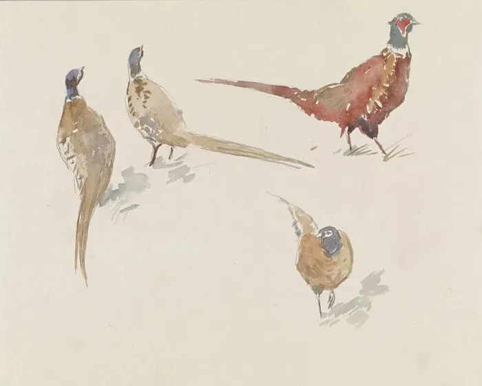 Framed Print : Four pheasants, 1864-1936. Creator: Johannes Cornelis van Essen Framed Print : Four pheasants, 1864-1936. Creator: Johannes Cornelis van Essen