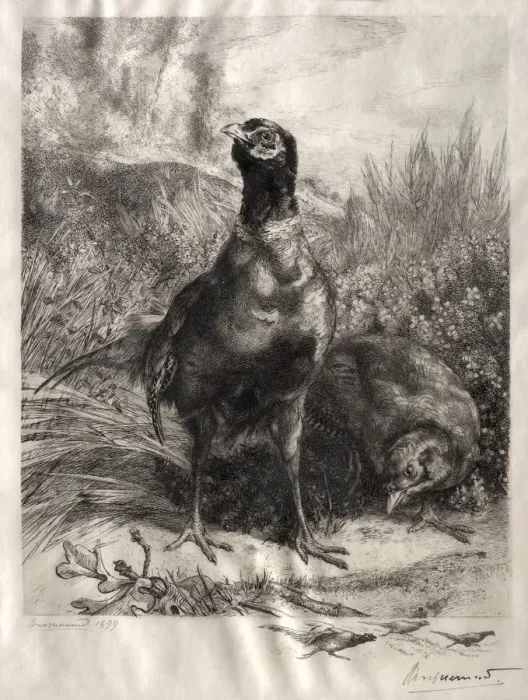 Framed Print : The Pheasants, 1899. Creator: Felix Bracquemond (French, 1833-1914) Framed Print : The Pheasants, 1899. Creator: Felix Bracquemond (French, 1833-1914)