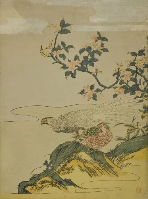 Framed Print : Pheasants under Branch of Peach Blossoms, c. 1764 / 75. Creator: Isoda Koryusai Framed Print : Pheasants under Branch of Peach Blossoms, c. 1764 / 75. Creator: Isoda Koryusai