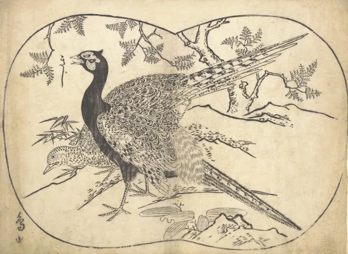 Framed Print : Pheasants. Creator: Hishikawa Moronobu Framed Print : Pheasants. Creator: Hishikawa Moronobu