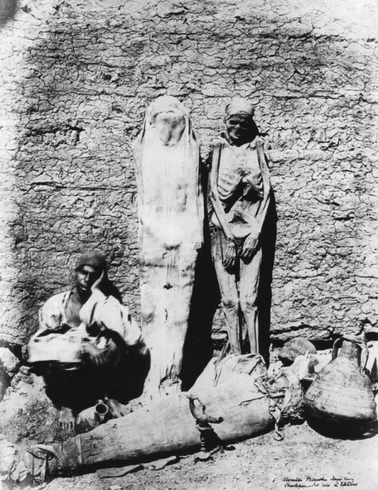Framed Print : Photograph of mummies, 1860 Framed Print : Photograph of mummies, 1860