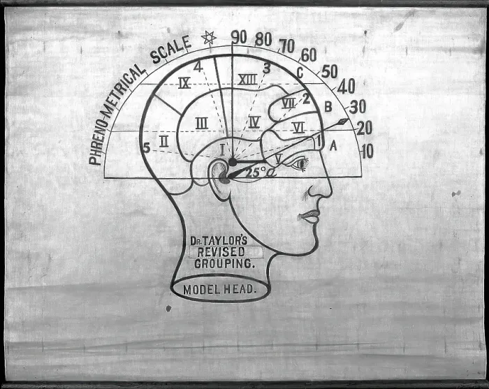 Framed Print : Phrenology: the human and animal brain, the location of its functions... c1840s. Creator: Unknown Framed Print : Phrenology: the human and animal brain, the location of its functions... c1840s. Creator: Unknown