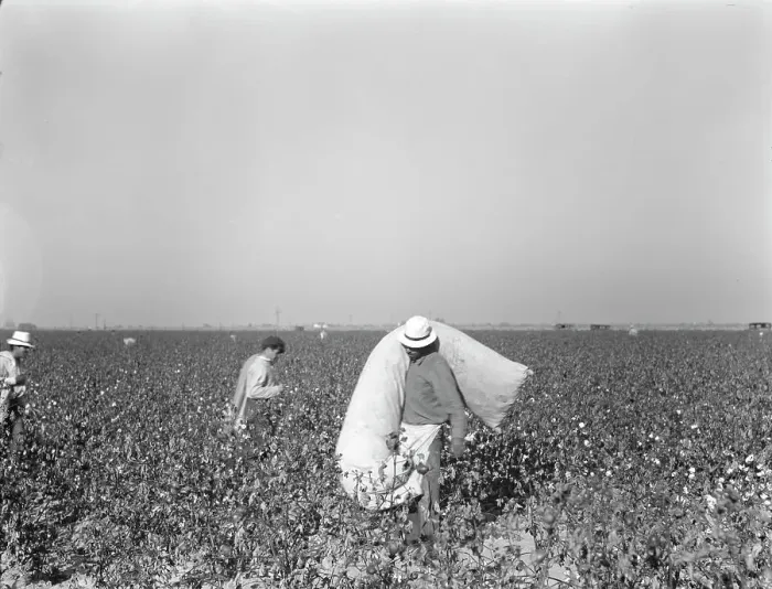 Framed Print : Pickers in cotton field, Southern San Joaquin Valley, California, 1936. Creator: Dorothea Lange Framed Print : Pickers in cotton field, Southern San Joaquin Valley, California, 1936. Creator: Dorothea Lange