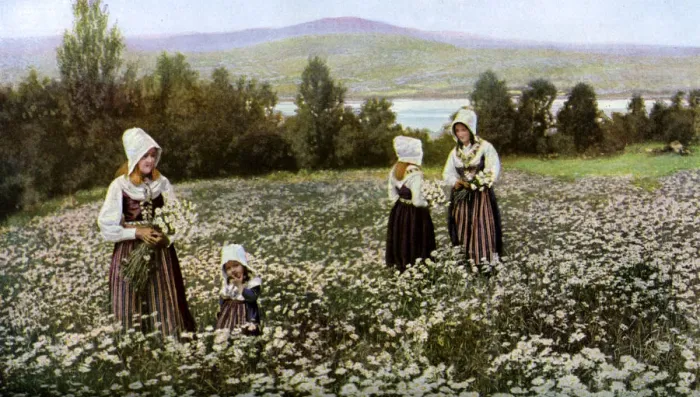 Framed Print : Picking flowers in a meadow near Leksand, Sweden, c1923 Framed Print : Picking flowers in a meadow near Leksand, Sweden, c1923