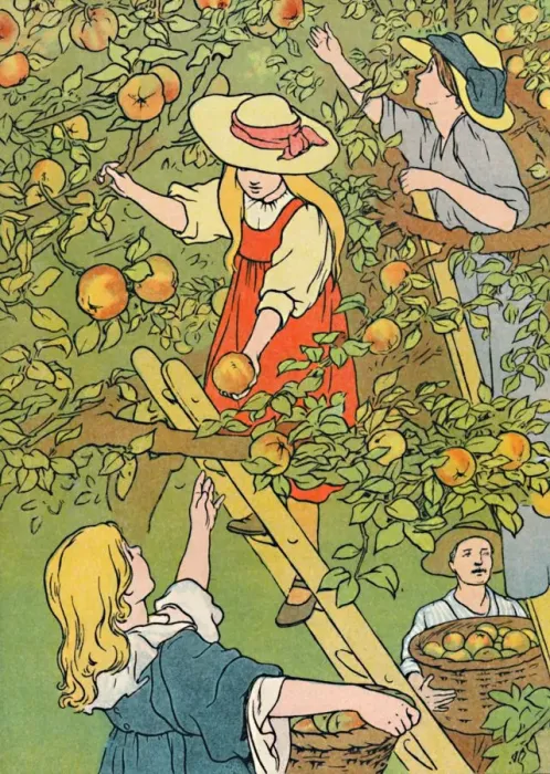 Framed Print : Picking the Fruit, 1912. Artist: Charles Robinson Framed Print : Picking the Fruit, 1912. Artist: Charles Robinson